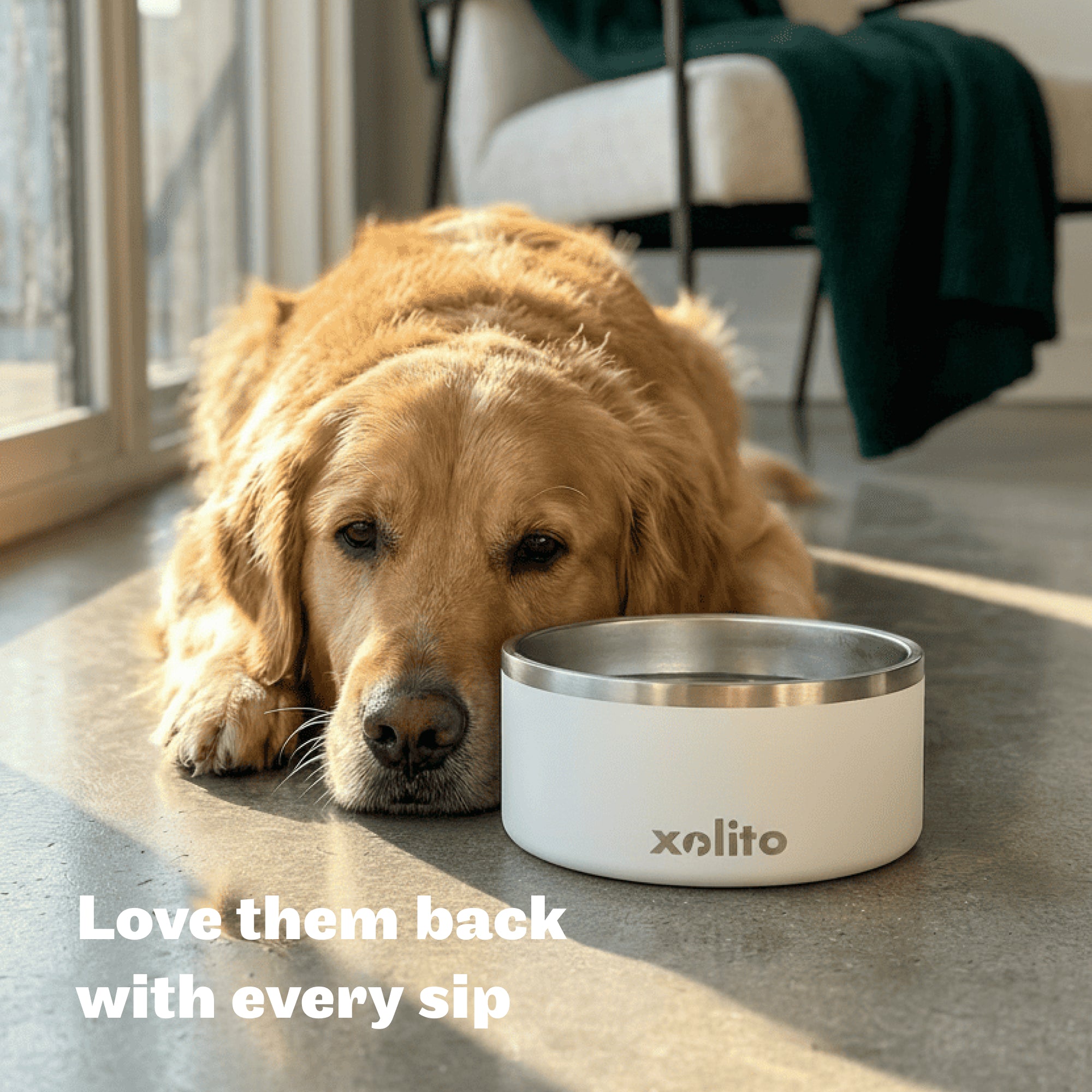 Xolito 64 oz Stainless Steel Dog Bowl | Insulated & Non-Slip