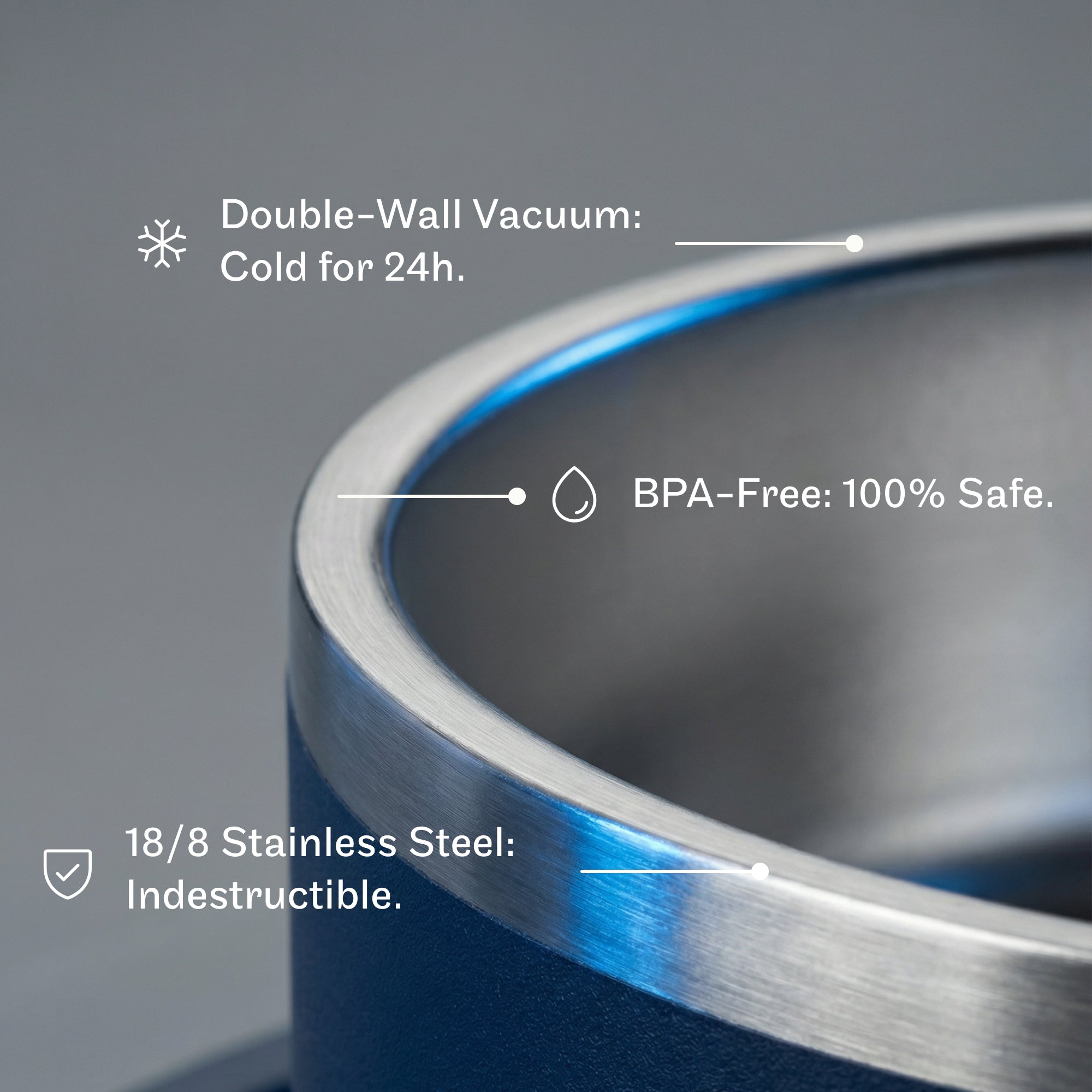 Xolito 64 oz Stainless Steel Dog Bowl | Insulated & Non-Slip